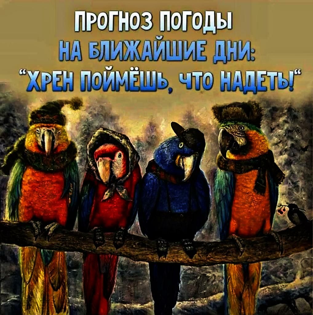 пгогноз_погоды нА вдиждишив дим Х_РЕН поимёшь что мины