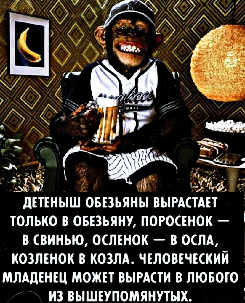 1744 1 дЁТЕНЫШ ОБЕЗЪЯНЫ ВЫРАСТАЕТ ТОЛЬКО В ОБЕЗЪЯНУ ПОРОСЕНОК _ В СВИНЬЮ ОСЛЁНОК _ В ОСЛА КОЗЛЕНОК В КОЗЛА ЧЕЛОВЕЧЕСКИЙ МЛАЛЕНЕЦ МОЖЕТ ВЫРАСТИ В ЛЮБОГО ИЗ ВЫШЕУПОМЯИУТЫХ