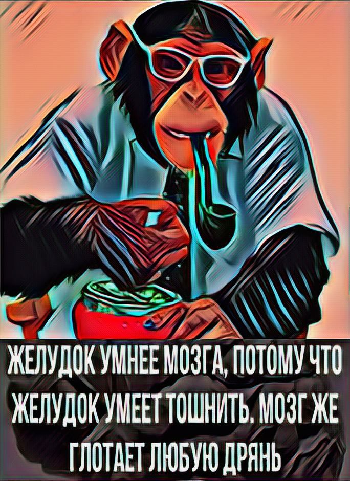 ЖЕЛУДПК УМЕЕТТПШНИТЬМПЗГЖЕ ГЛПТАПЛЮБУЮ ДРЯНЬ