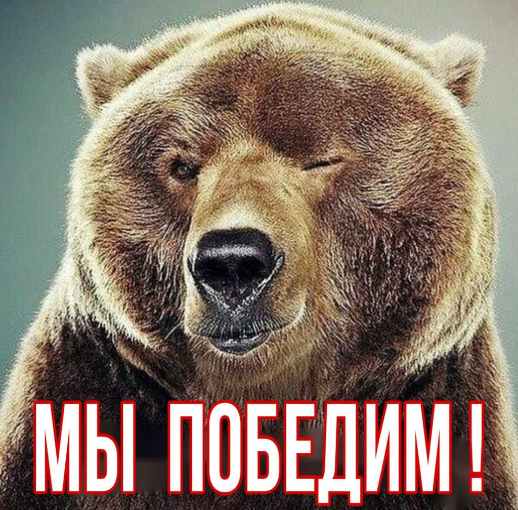 Мы павшим