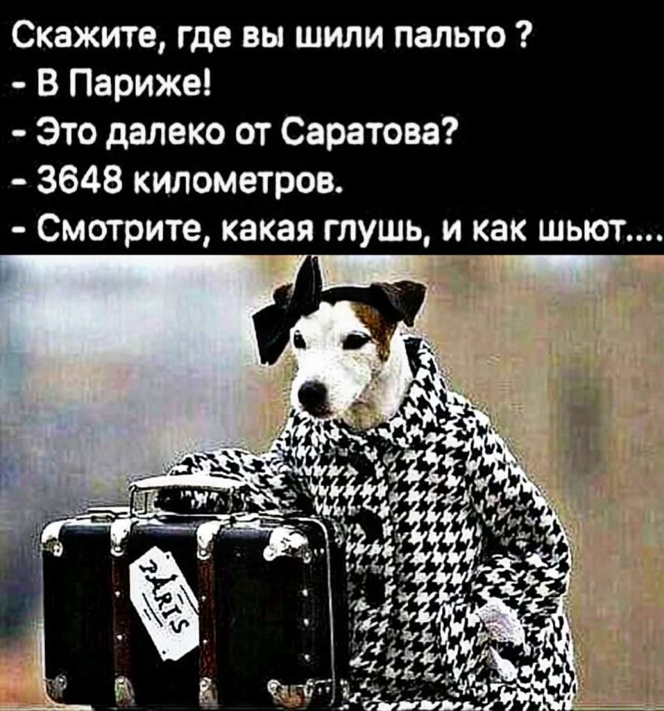 где вы шили пальто Скажите В Париже Это далеко от Саратова 3648 километров Смотрите И как ШЫОТ Ь Ш У я а к а к