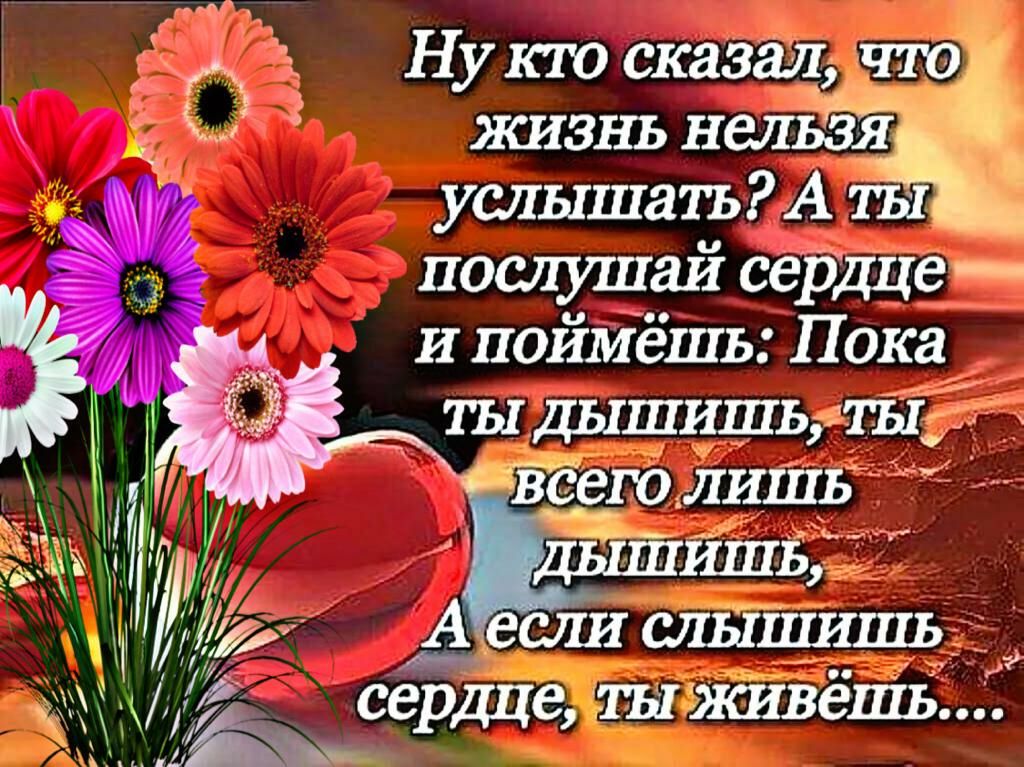 Ну кю сказал кич жизнь нелёг услышать А А послушай сердце и поймёшь Пока ты дышишь ш Ё сердце ШживёшД