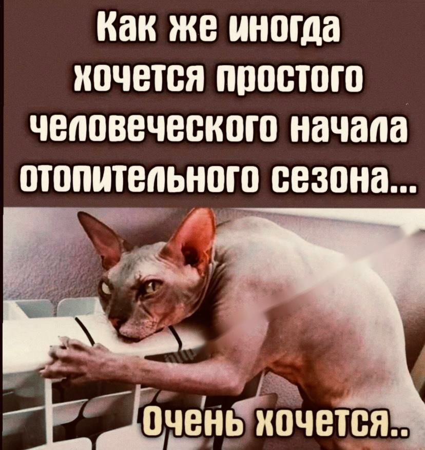 Как же иногда иочется простого человеческого начала отопительного сезона _