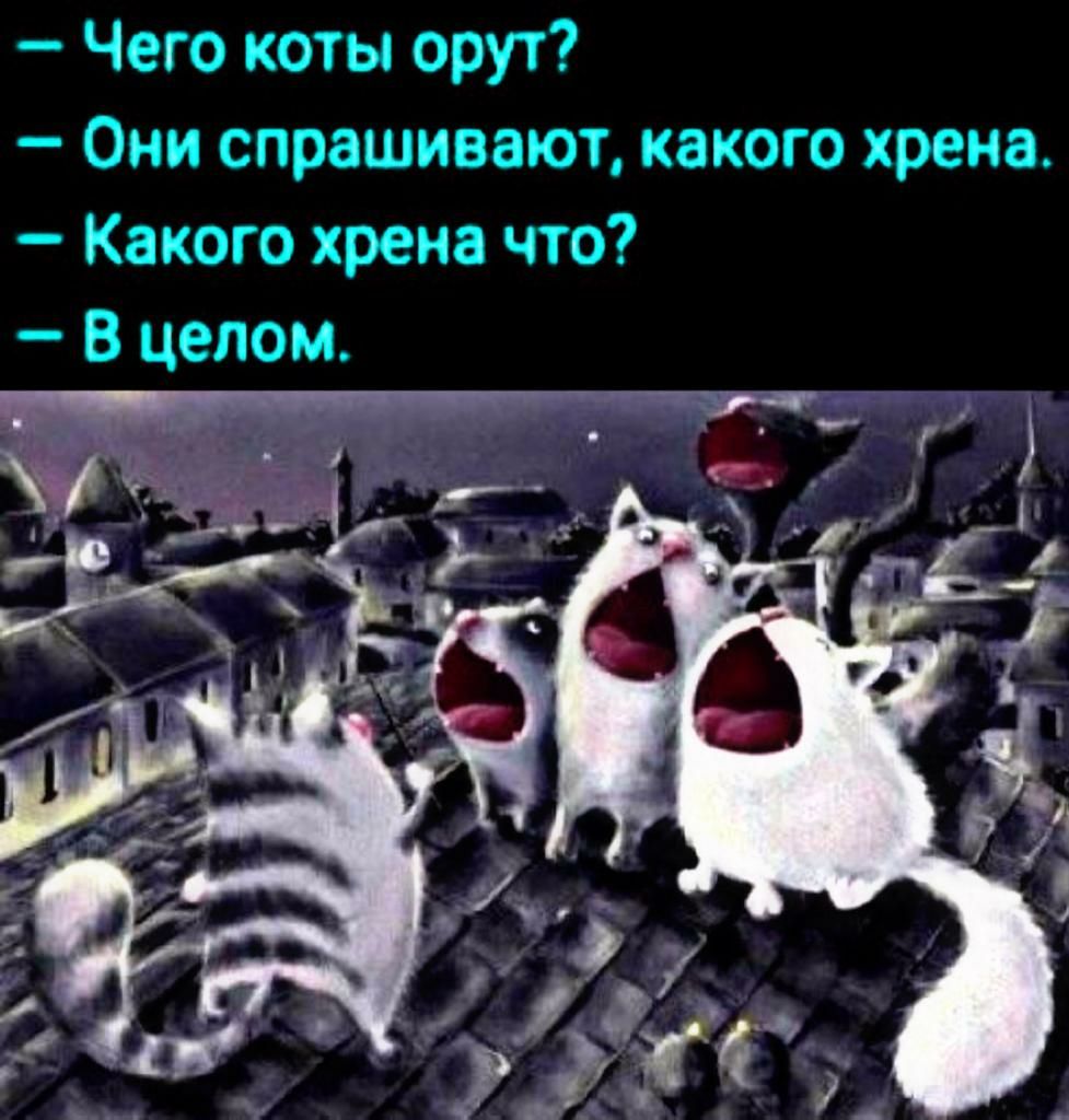 Чего коты орут Они спрашивают какого хрена Какого хрена что В целом