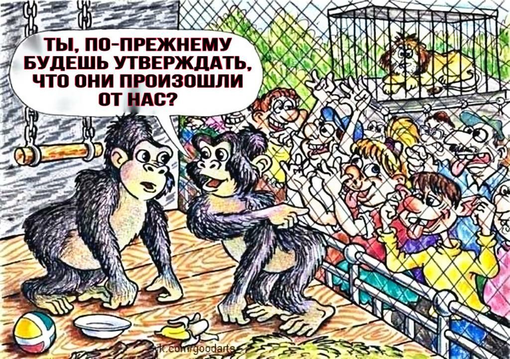 тыла нижнему д1 БУЛЕШЬШЕРЖМТЬ и дд А _ чтппи пюизпшли Т
