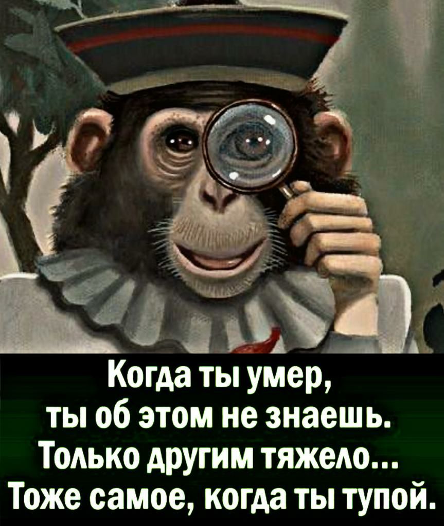 і 1 А Когда ты умер ты об этом не знаешь Только другим тяжело Тоже самое когда ты тупой