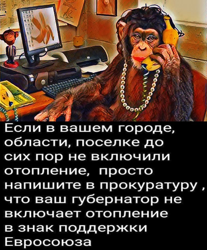 45 Д А Если в вашем городе области поселке до сих пор не включили отопление просто напишите в прокуратуру что ваш губернатор не включает отопление в знак поддержки Евросоюза