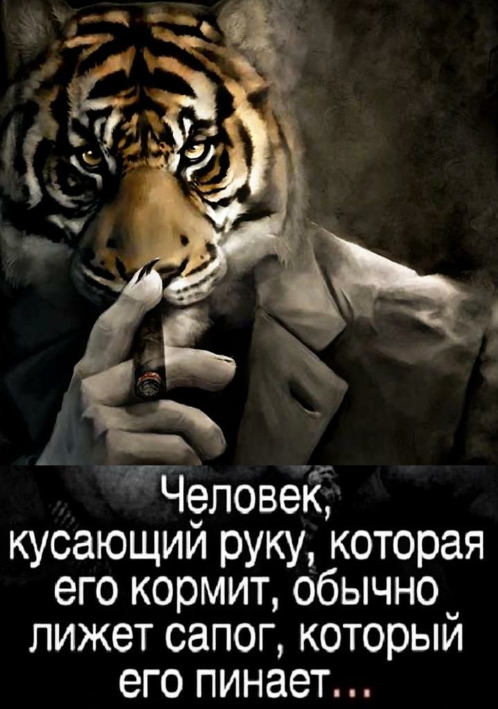 Ч9повей кусающии руку которая его кормит обычно_ лижет сапог которым его пинает