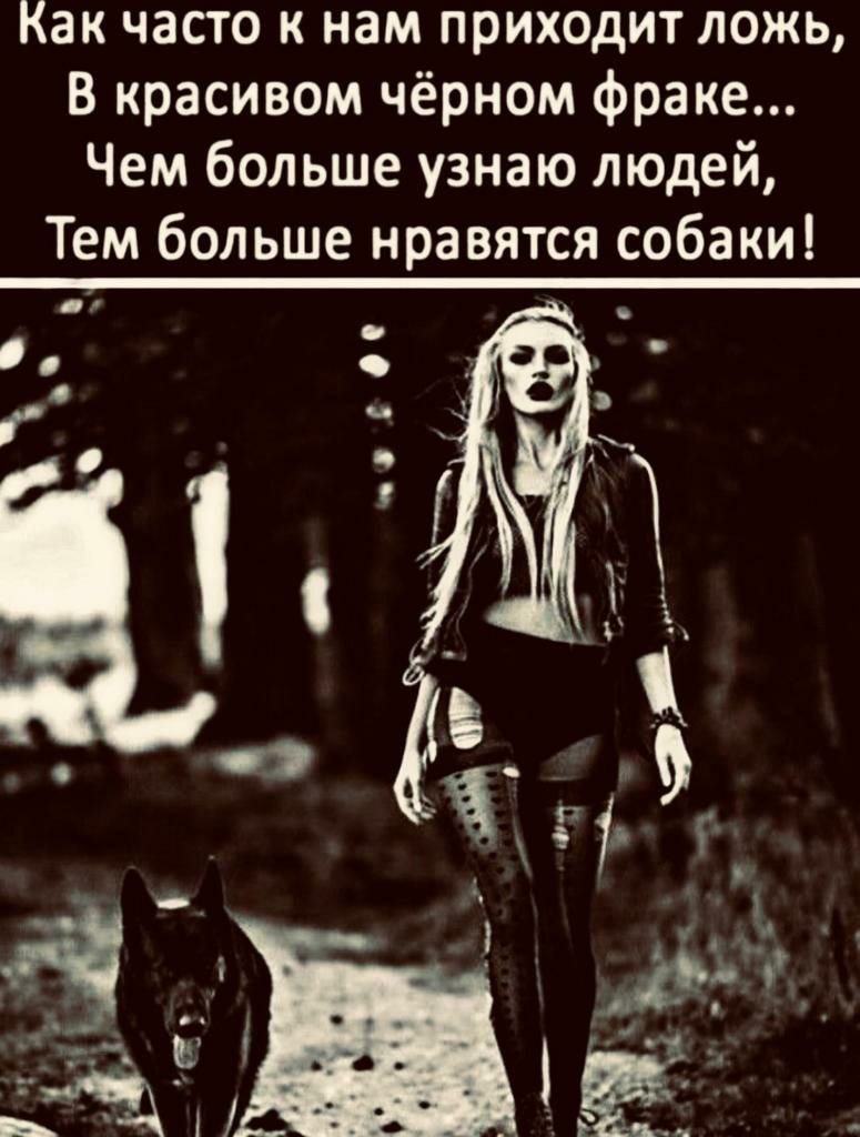 Как часто и нам приходит ложь В красивом чёрном фраке Чем больше узнаю людей Тем больше нравятся собаки