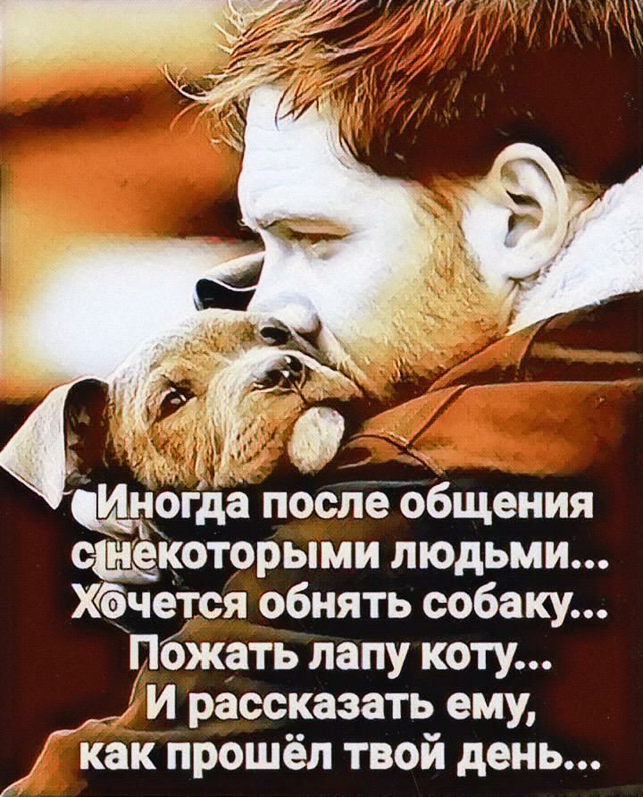 щёо да после общения скоторыми людьми Хёчется обнять собаку пожать лапу коту _ И рассказать ему как прошёл твой день