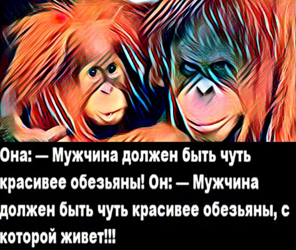 _ 71 _ К Т 0на Мужчина должен быть чуть красивее обезьяны Он мУжчииа должен быть чуть красивее обезьяны которой живет