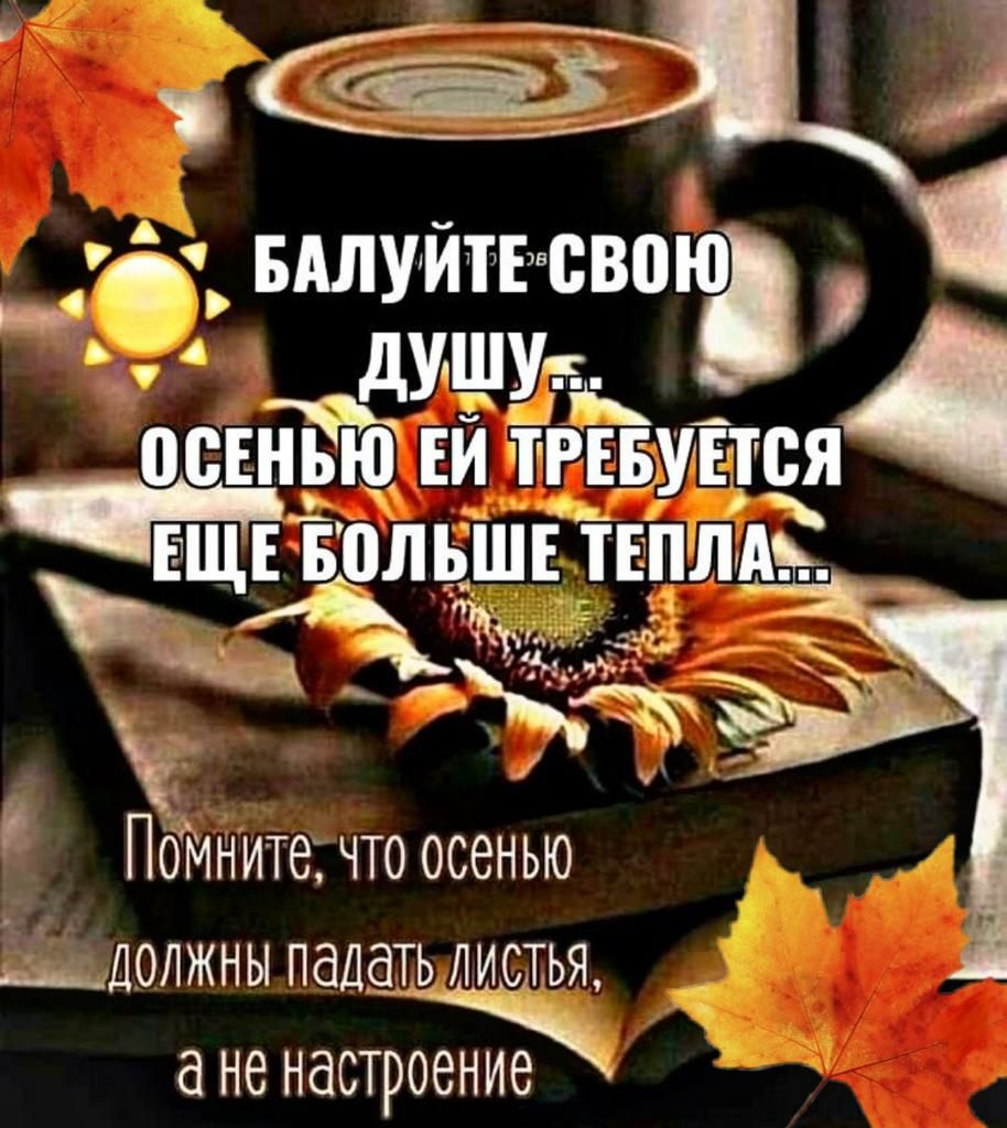 11 БШУЙТЕ сво душу Сінью ЕЙ ТРЕБУЕТСЯ _ ЕЩЬЁЗЁЁШЕ ТЕПЛАЁ Мама 1 _ _ ПОМните что осенью иолжны падать листья Не НдСТРОЕНИЗ