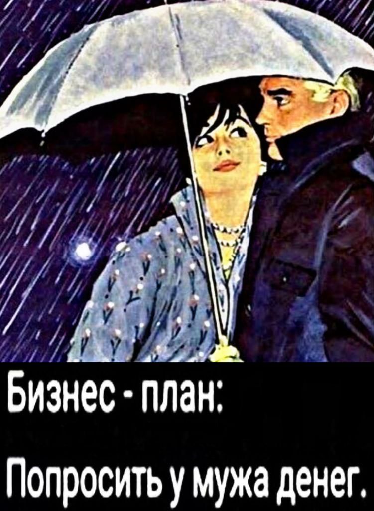 Бизнес план Попросить у мужа денег