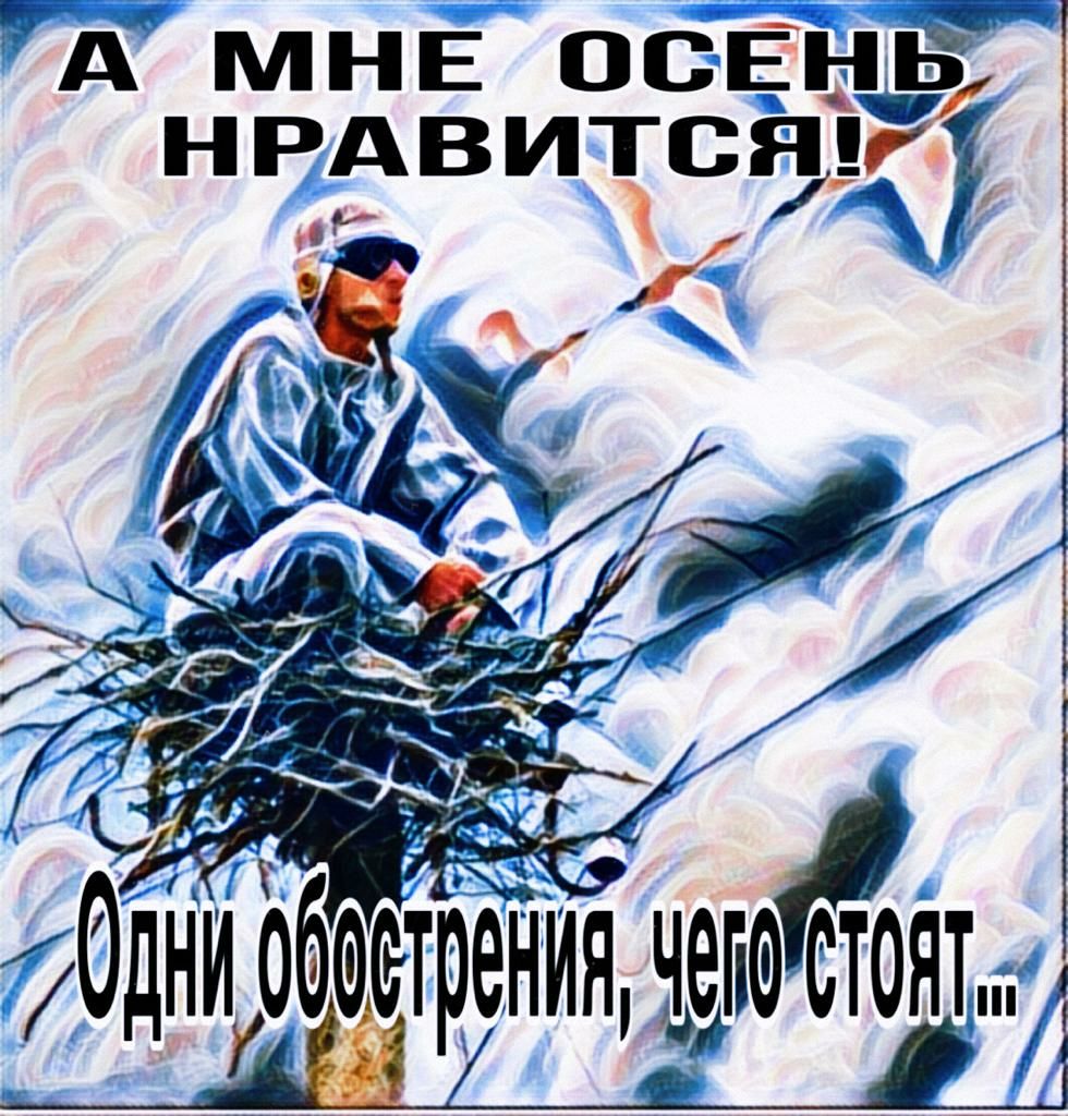 А МНЕ 0051137 нрдвитсгцд 1