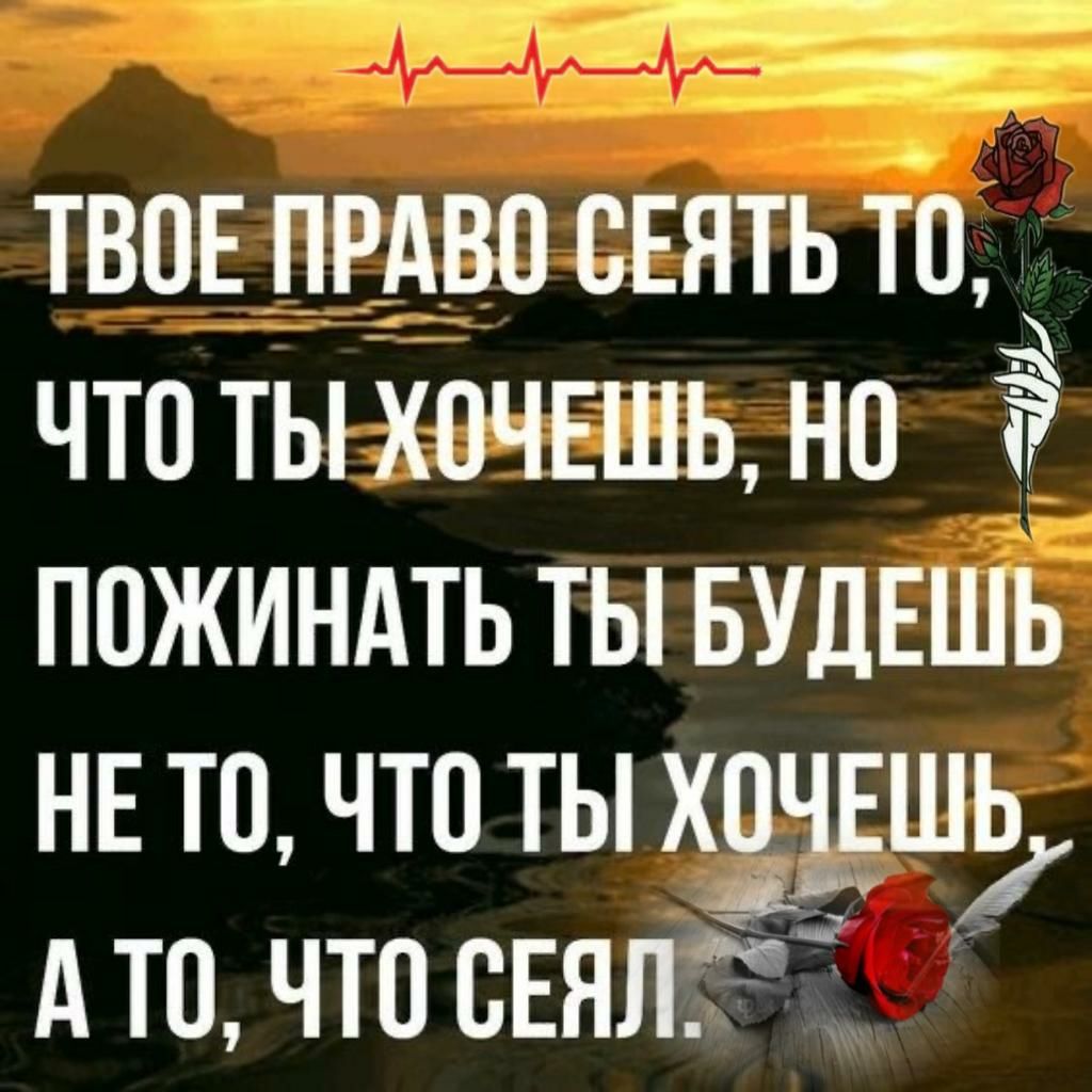 __ твое пндво сыпью что ты хпчвшь но пожиндть ты БУДЕШЬ НЕ то что ты хочвшь Ато что свят