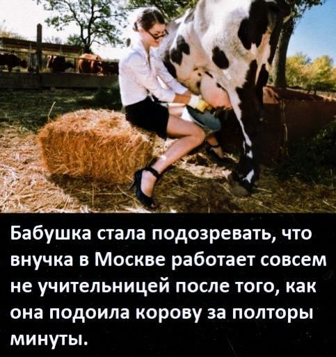 Бабушка стала подозревать что внучка в Москве работает совсем не учительницей после того как она подоила корову за полторы минуты