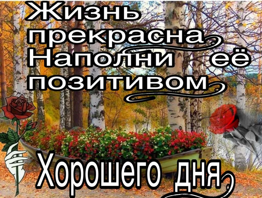 дніч гда