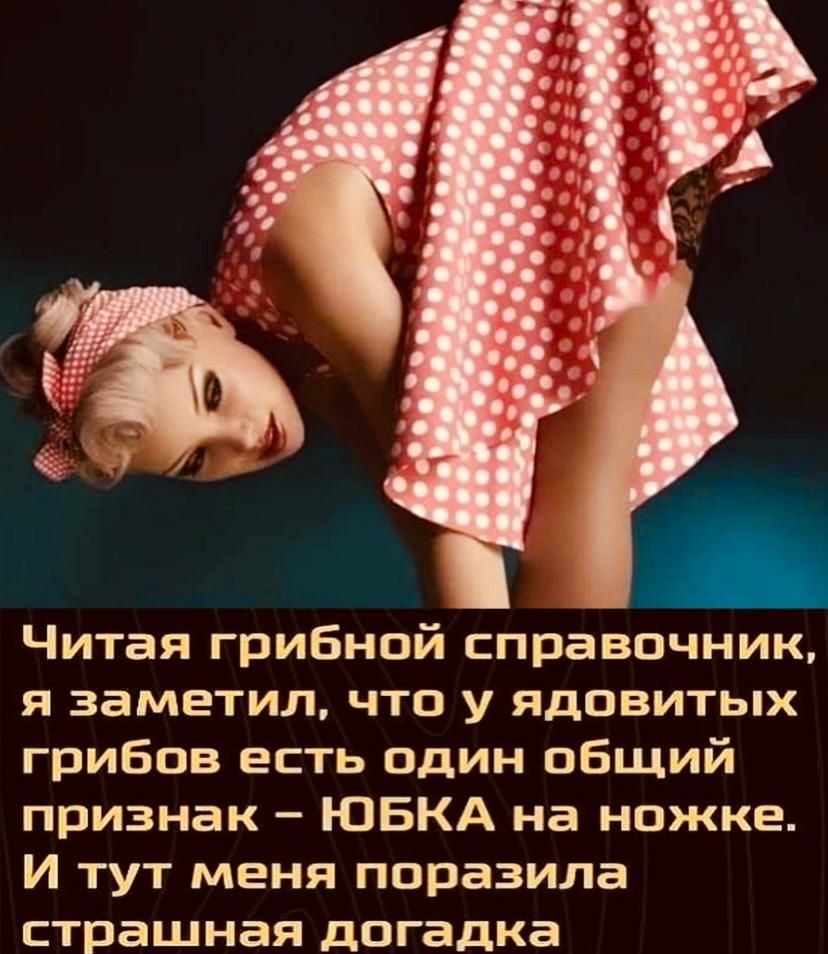 Читая грибной справочник я заметил что у ядовитых грибов есть один общий признак ЮБКА на ножке И тут меня поразила страшная догадка