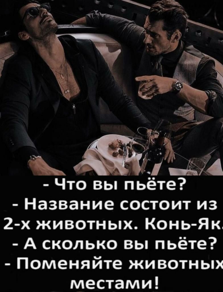 Что вы пьёте Название состоит из 2 х животных Конь Як А сколько вы пьёте Поменяйте животных местами