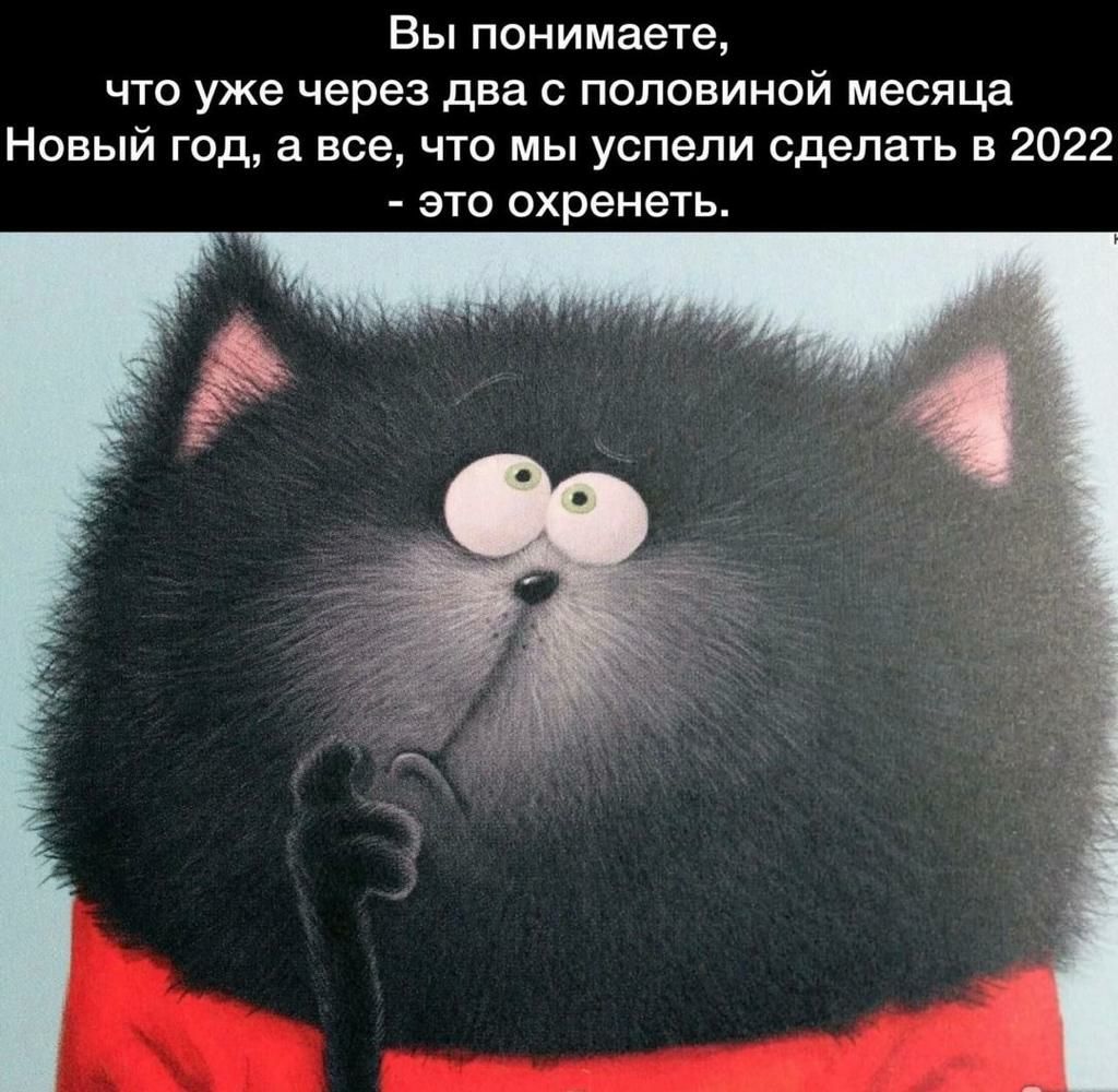 Вы понимаете что уже через два с половиной месяца Новый год а все что мы успели сделать в 2022 это охренеть