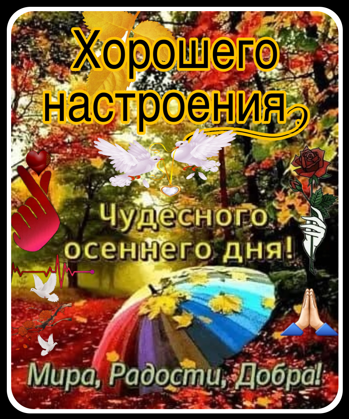 Мира Раіксту1ддс59г