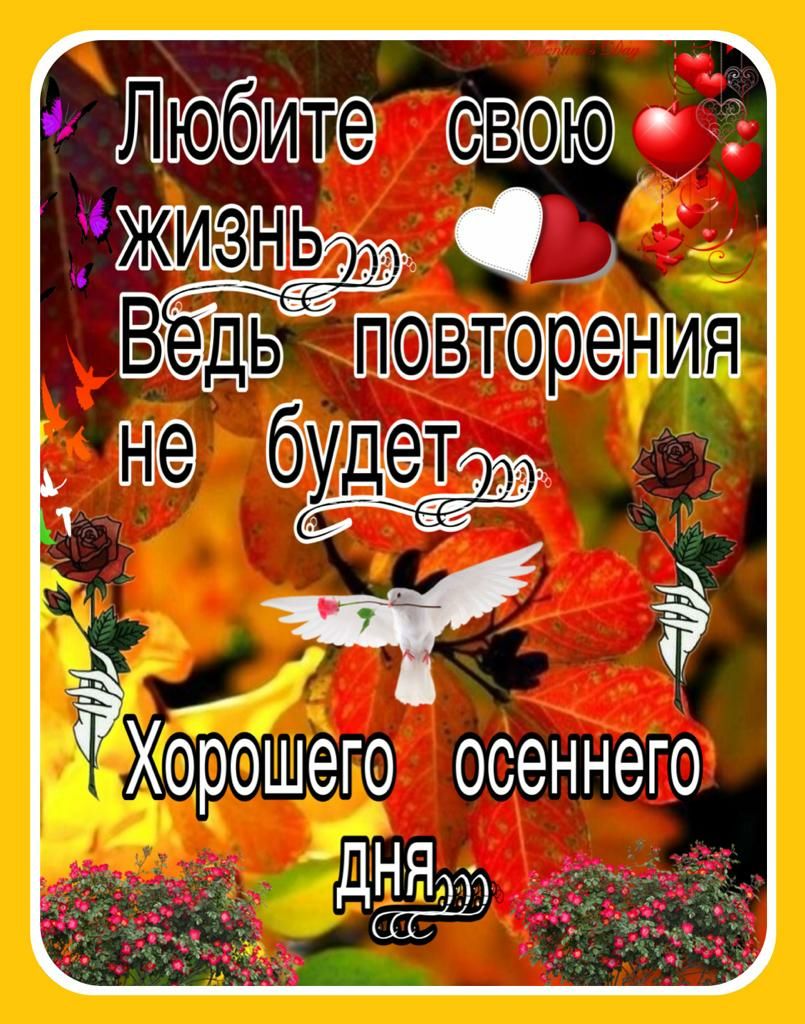 ЁС