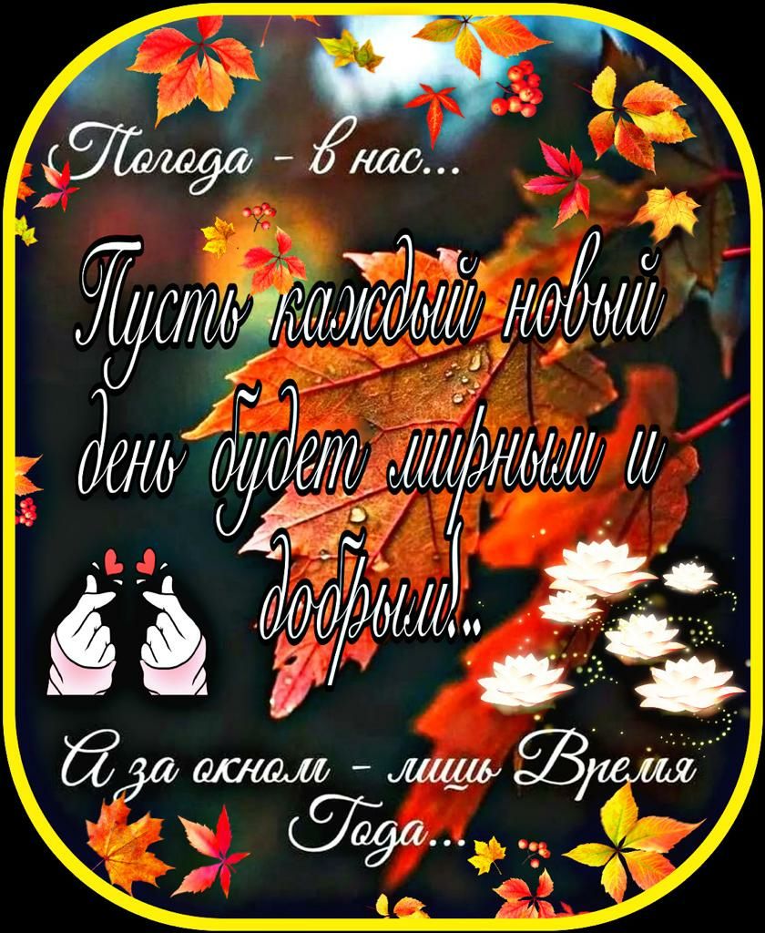 за 0796 _1 т Ёж т магмм чіі від 9113 31