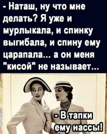 Наташ ну что мне делать Я уже и мурлыкала и спинку выгибапа и спину ему царапапа а он меня кисой не называет