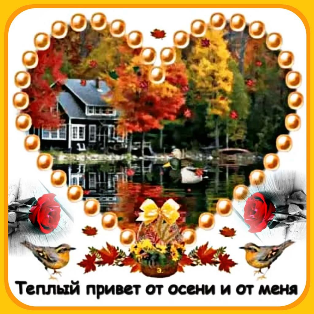 плый привет от осени и от меня