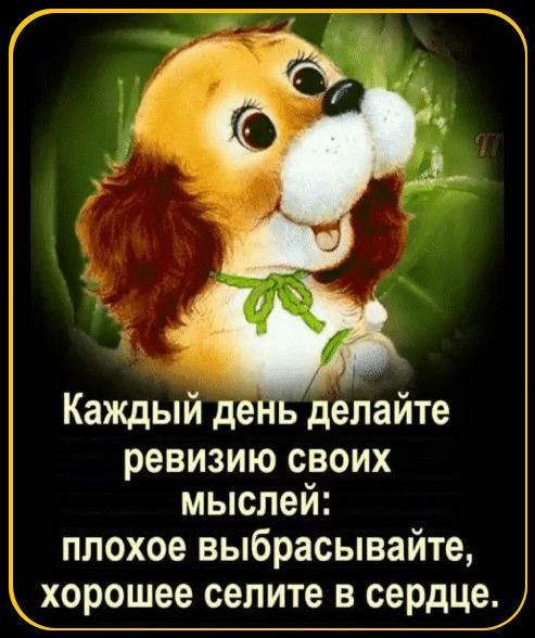 Каждый день делайте ревизию СВОИХ МЫСПЕИ плохое выбрасывайте хорошее селите в сердце