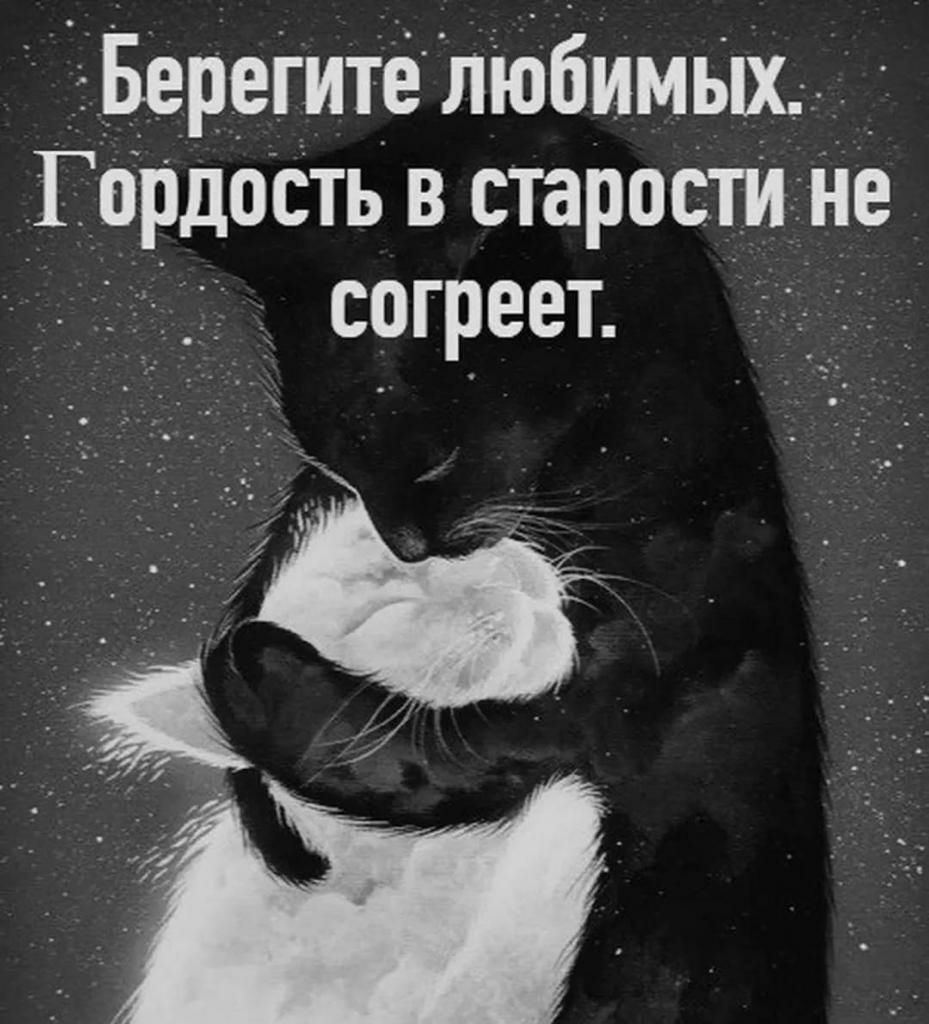 Берегитетбимых Гордость в старост не согреет