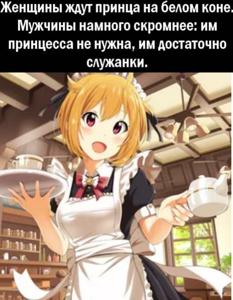Женщины ждут принца на белом коне Мужчины намного скромнее им принцесса не нужна им достаточно сАужанки