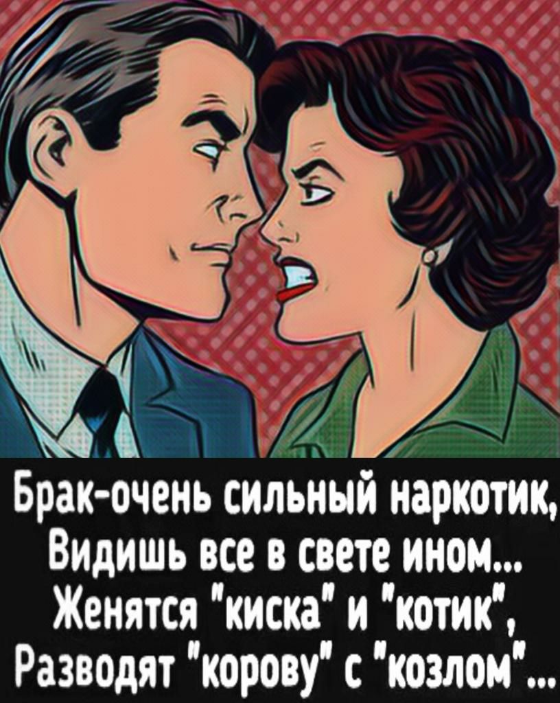 Брак очень сильный наркотик Видишь все в свете ином Женятся киска котик Разводят корову с козлои
