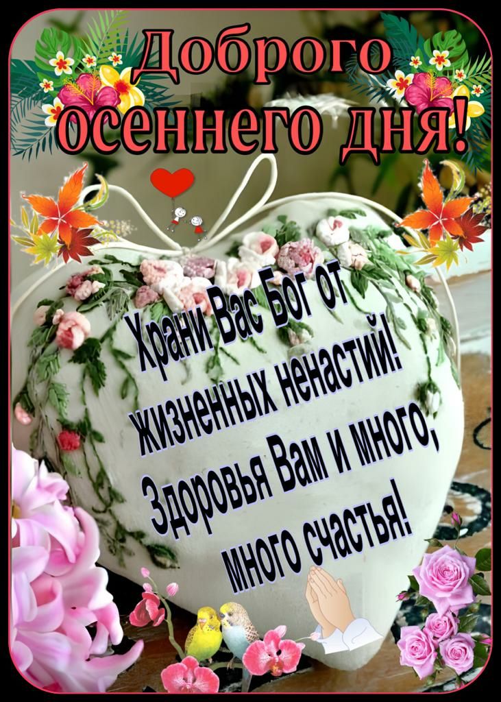 _ у Дброщ _ шсне нёе ЁЁЁНЯ