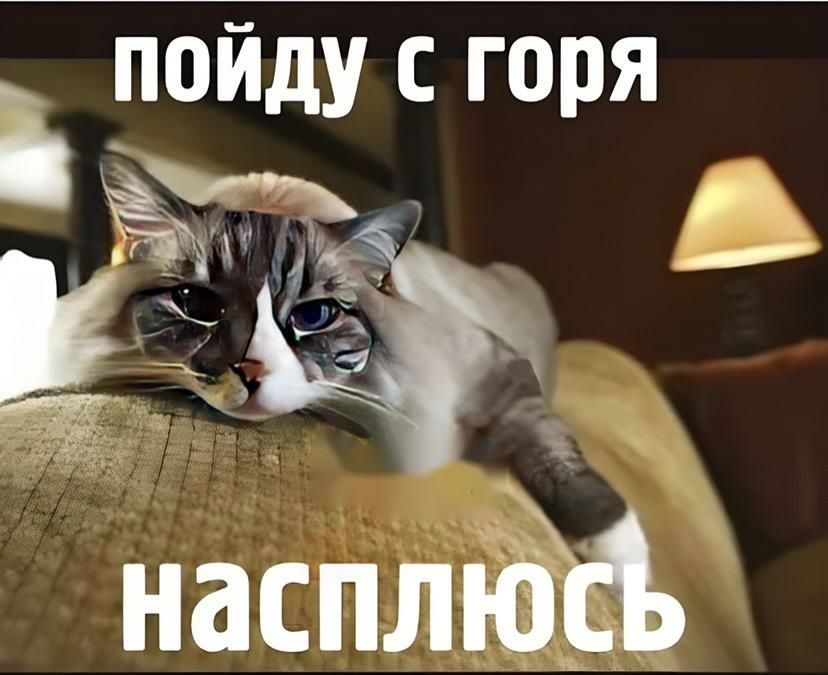 пойду с горя