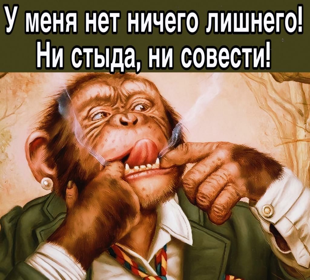 У меня нет ничего лишнего Ни стыда ни совести