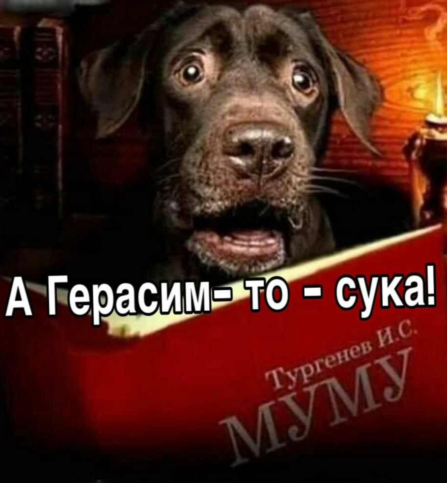 А е Ы расимёто сук а _ 17