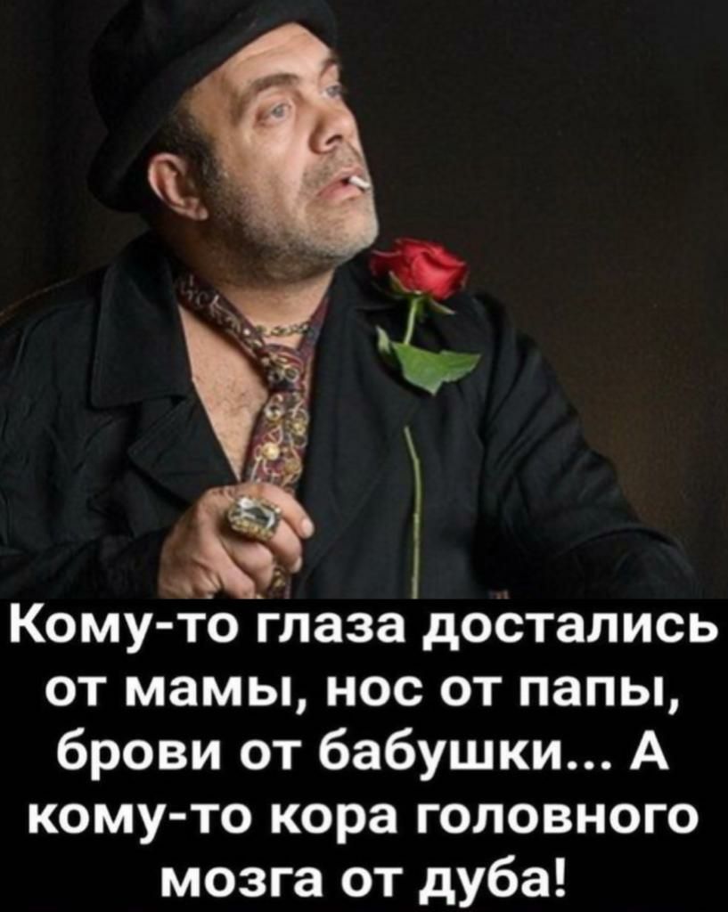 Кому то глаза достались от мамы нос от папы брови от бабушки А кому то кора головного мозга от дуба