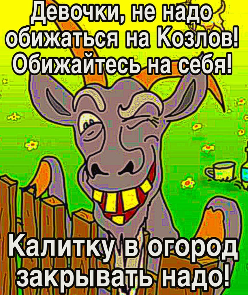 ДЕВОЧКИ не недр обижаться на Козлов Обижаитесь на себя фара закрыва БЬ надО