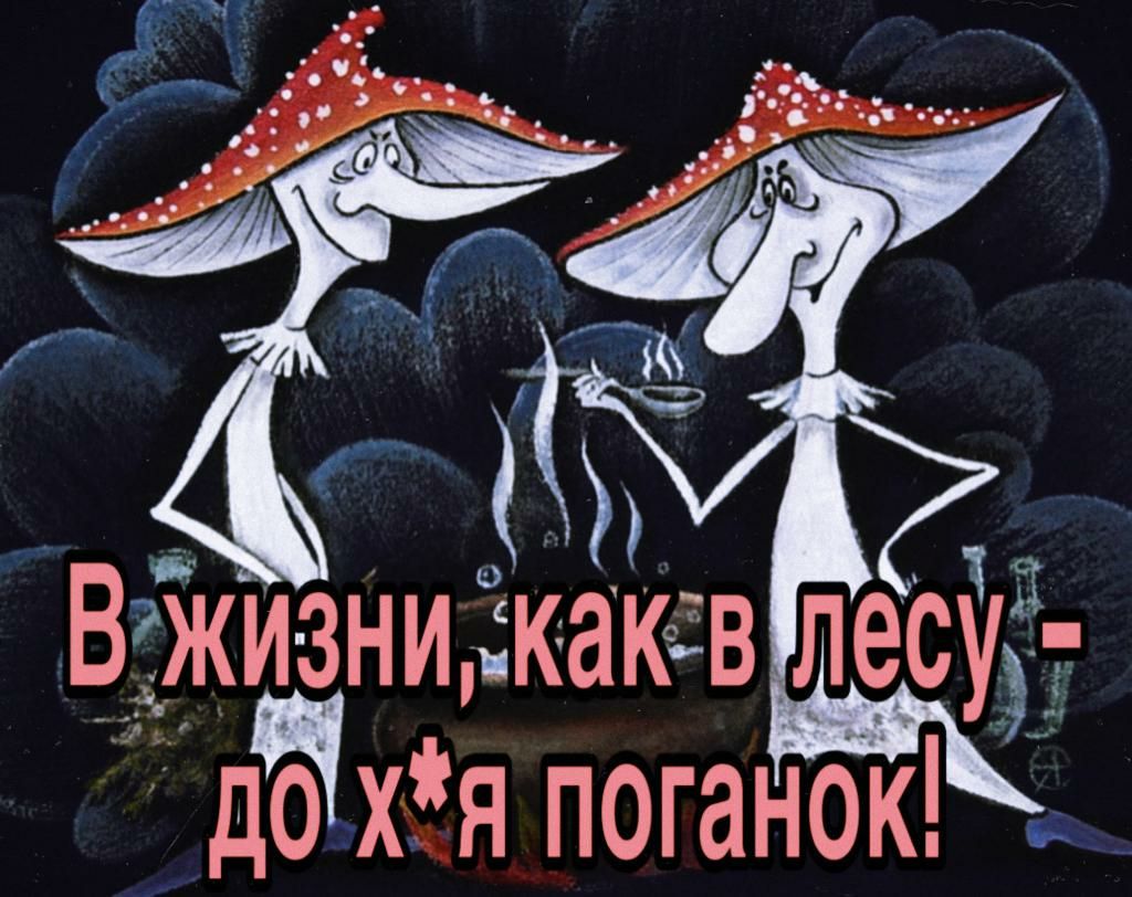 1 Вжизни2какв лесу