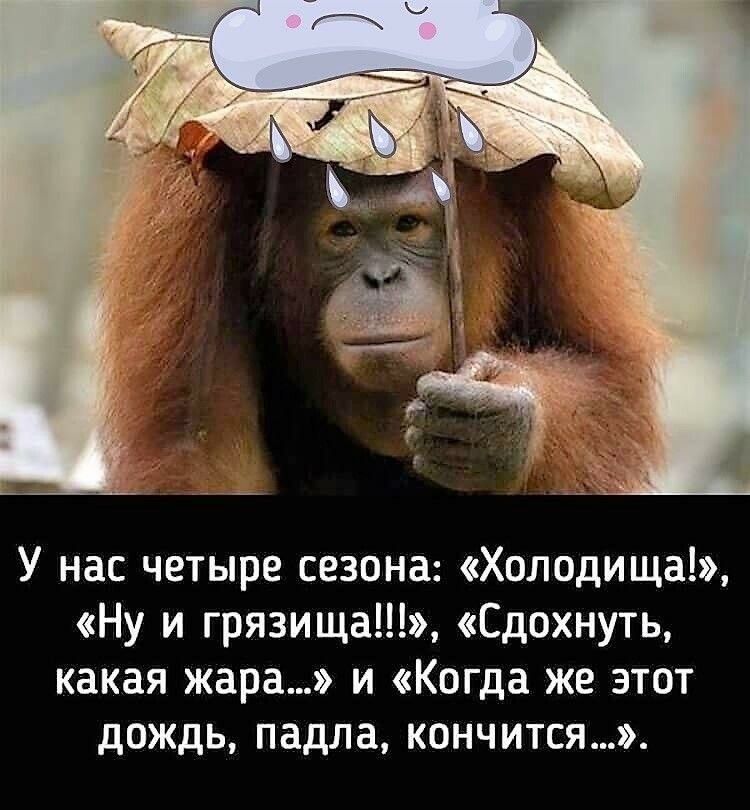 У нас четыре сезона Холодищац Ну и грязища Сдохнуть какая жара и Когда же этот дождь падла кончится