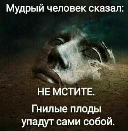 Мудрый человек сказал _ _ НЕ метитв Гнилые плоды упадут сами собой