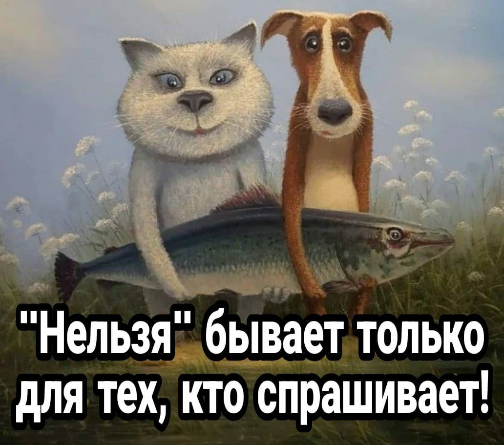 Нельзя бывает только для тек кто спрашивает