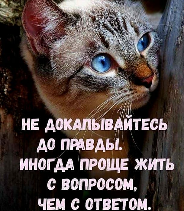 А0 ПРАВДЫ ИНОГДА ПРОЩЕ ЖИТЬ ВОПРОС ЧЕМ с ОТВЕТОМ