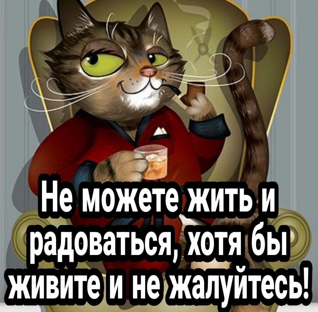 Радоваться хотя бьг Живитеш неджалуйтесь
