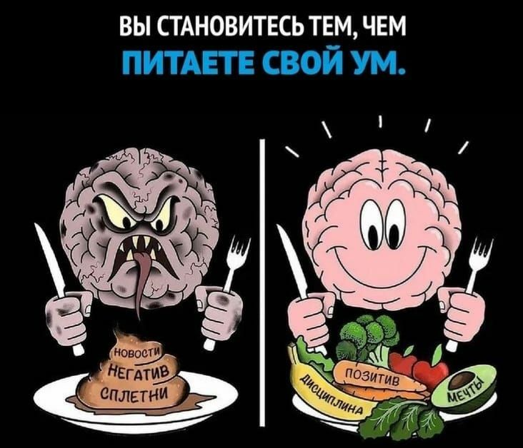 ВЫ СТАНОВИТЕСЬ ТЕМ ЧЕМ НилЕв сплетни