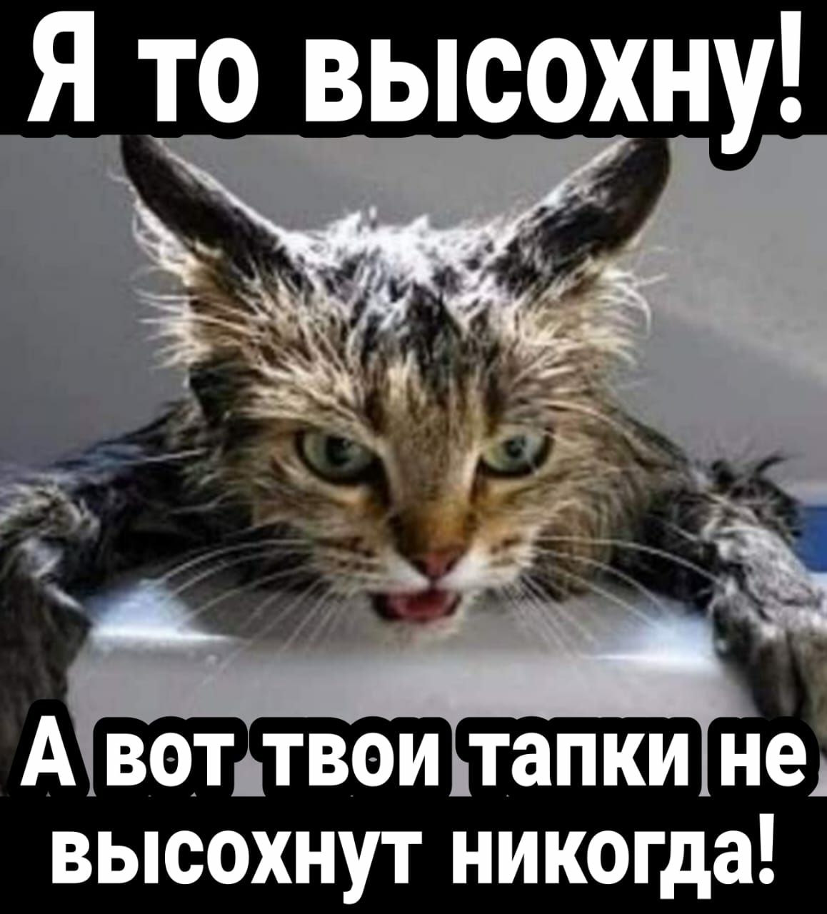 Я то высохну А воптвои тапки не высохнут никогда