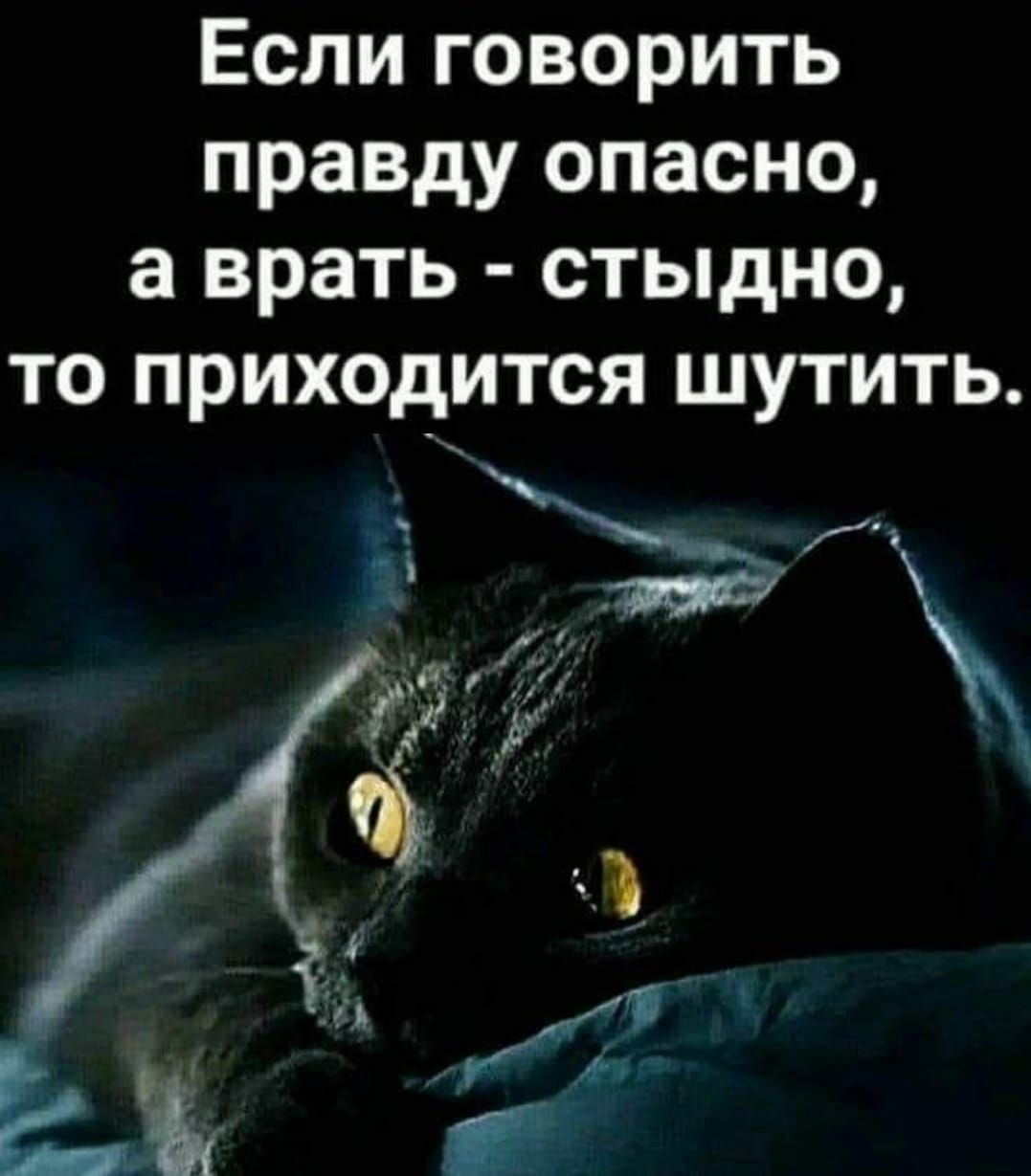 Если говорить правду опасно а врать стыдно то приходится шутить