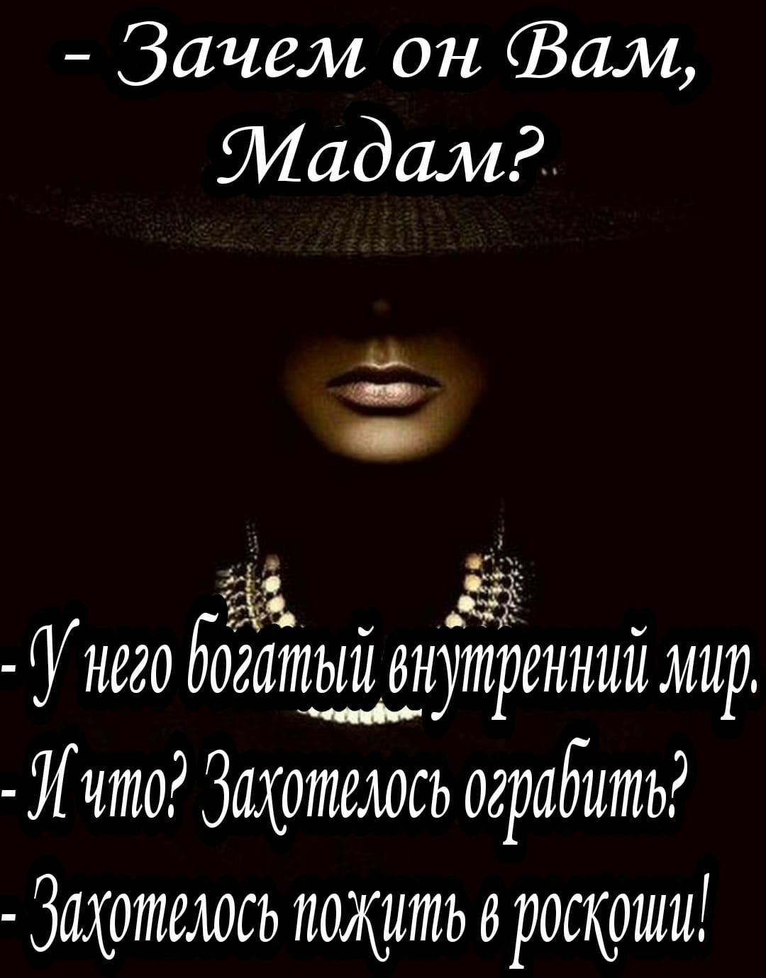 Зачем он Зам Мадам У него богатый внутренний мир И что Затотсаось отгадать Захотелось полость о роскоши