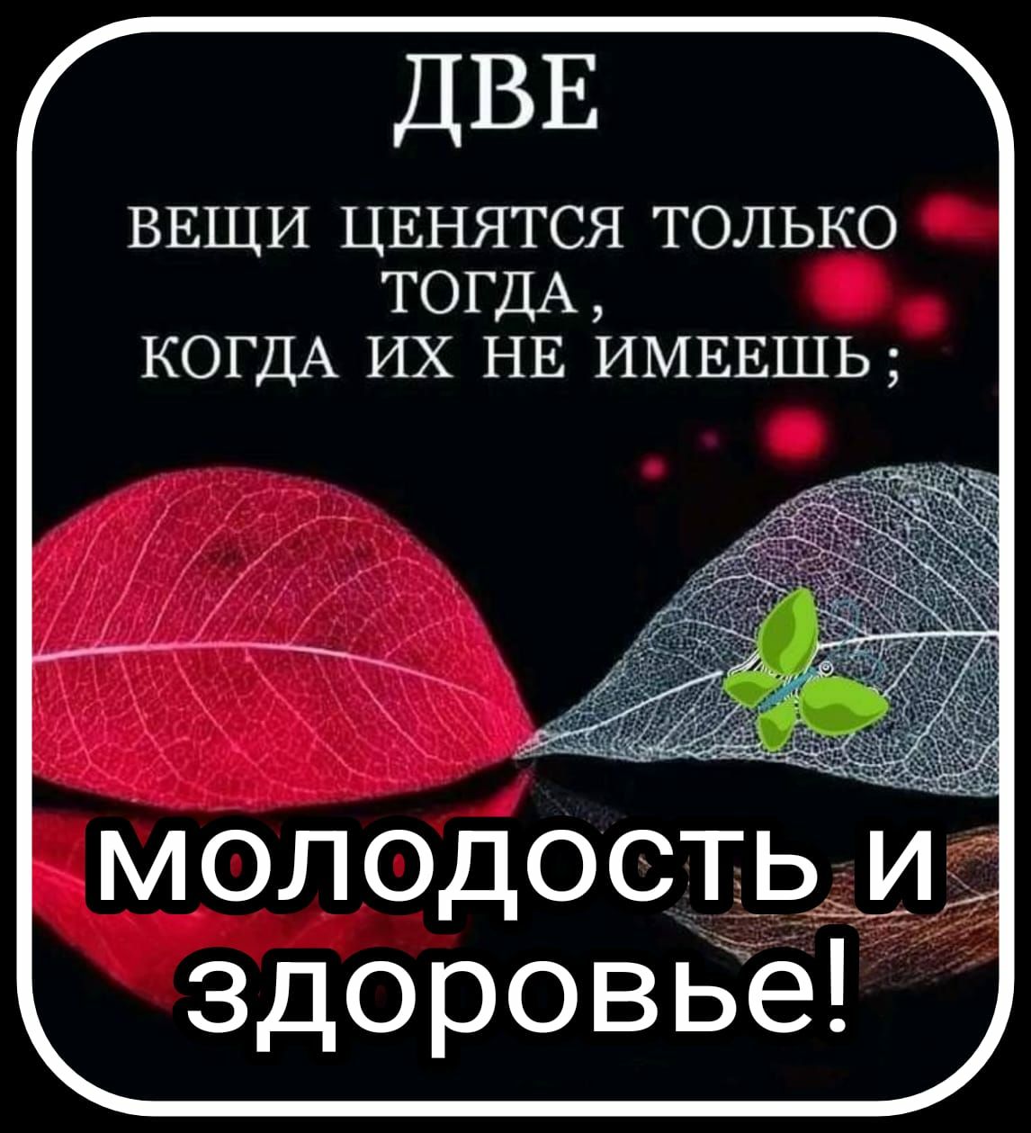 ДВЕ ВЕЩИ ЦЕНЯТСЯ ТОЛЬКО ТОГДА КОГДА ИХ НЕ ИМЕЕШЬ здоровБё